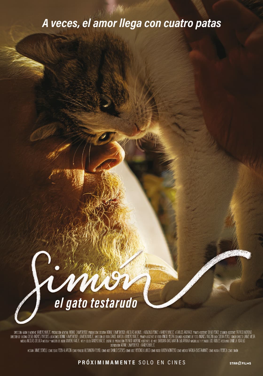 Simón, the Stubborn Cat premieres on 8 October in Lima and nationwide