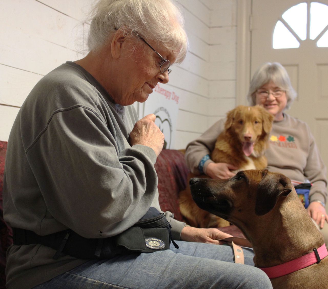 Perros de terapia frente a la soledad