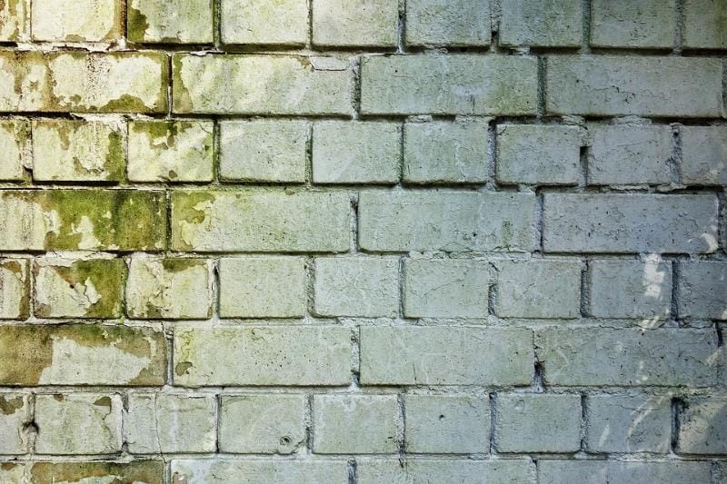 ¿Cubren los seguros los daños por humedades?